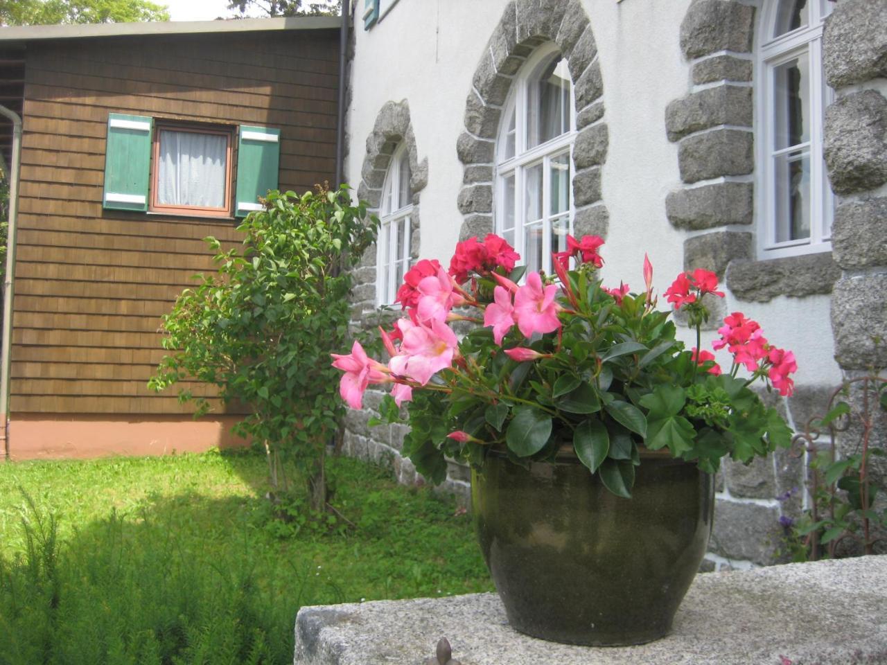 Gasthof Pension Strohmaier Haidmuhle Exterior photo